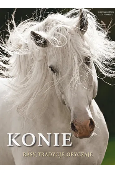 Konie