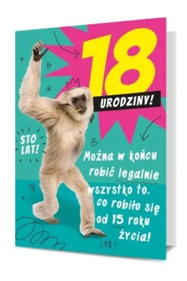 Pan Dragon Karnet B6 18-te urodziny ma�pa