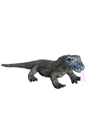 Waran z Komodo 70cm Dubi