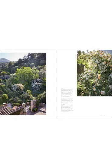 Roses In The Garden wer. angielska - Ngoc Minh Ngo