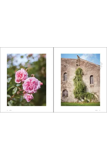 Roses In The Garden wer. angielska - Ngoc Minh Ngo
