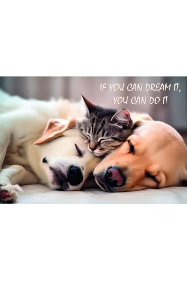 Panta Plast Mata ma�a dwustronna z nadrukiem frendship