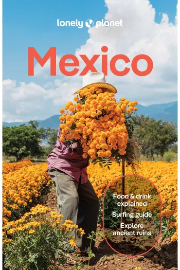 Mexico. Lonely Planet - Joel Balsam, Jennifer  Fern�ndez Solano
