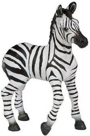 Zebra �rebi�