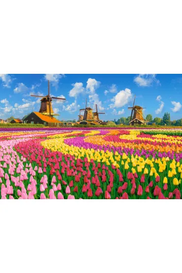 Puzzle 1000 el. Dutch Windmills Among Tulips CASTORLAND C-105540