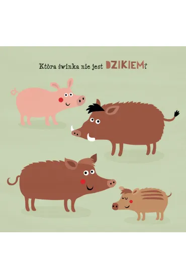 Kolorowy las. Co tu nie pasuje? - Nastja Holtfreter, Magdalena  Majewska