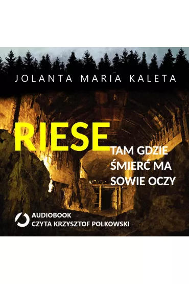Audiobook Riese, tam gdzie mier ma sowie oczy mp3 - Jolanta Maria Kaleta
