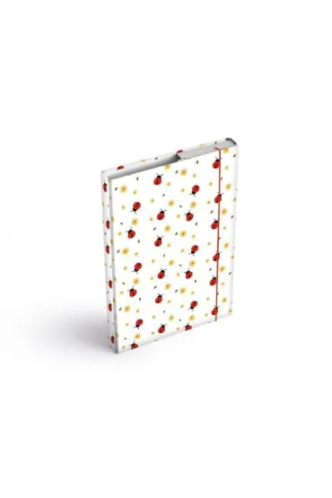 MFP Teczka skrzyd�owa z gumk� A4 box Biedronki