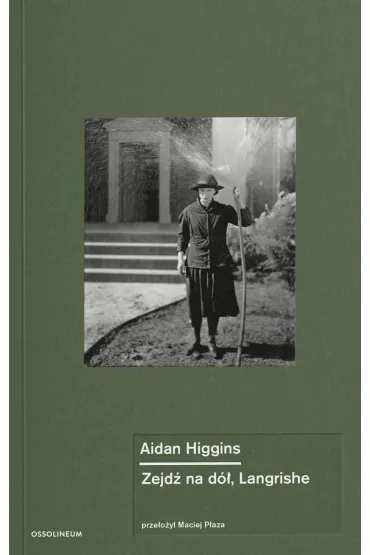 Zejd� na d�, Langrishe - Aidan  Higgins