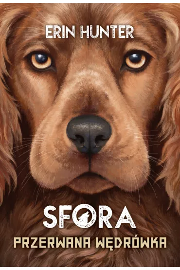 Przerwana w�dr�wka. Sfora. Tom 4 - Erin Hunter