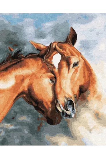 Twoje Hobby Malowanie po numerach - Ko�ska czu�o�� 40x50cm