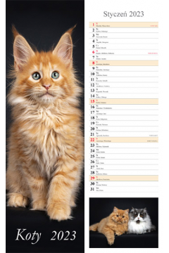 Kalendarz 2023 paskowy Koty