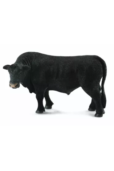 Byk czarny angus
