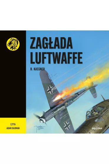 Audiobook Zag�ada Luftwaffe mp3 - B. Kassner