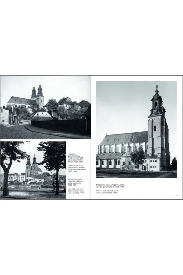 Stolice Polski. Gniezno - Jacek Purchla