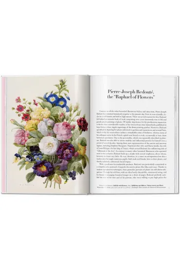 Redoute. Roses wer. angielska - Pierre-Joseph Redoute