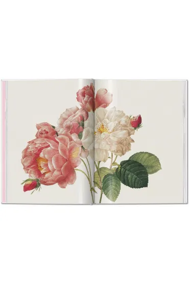 Redoute. Roses wer. angielska - Pierre-Joseph Redoute