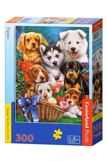 Puzzle 300 el. Puppies Castorland
