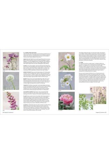 What Grows Together - Jamie  Butterworth