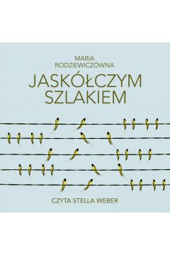 Audiobook Jaskczym szlakiem mp3
