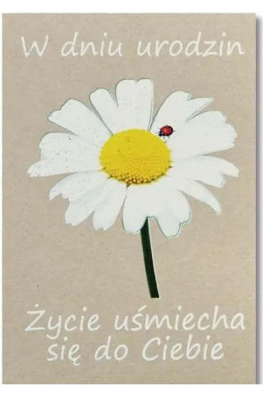 Trend Kartka okoliczno�ciowa Urodziny
