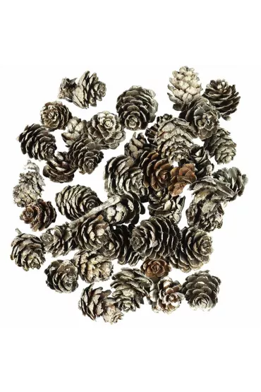 Arpex Szyszki o�nie�one 65 g