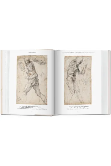 Michelangelo. The Graphic Work - Thomas  Popper