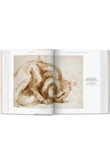 Michelangelo. The Graphic Work - Thomas  Popper