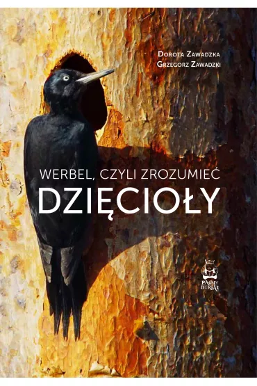 Werbel, czyli zrozumie� dzi�cio�y - Dorota Zawadzka, Grzegorz Zawadzki