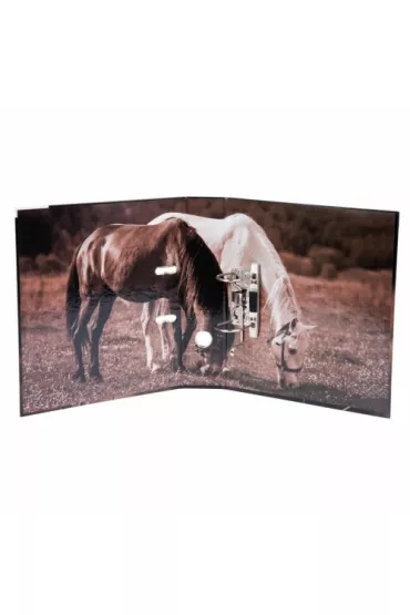 Starpak Segregator A4 Konie 7 cm