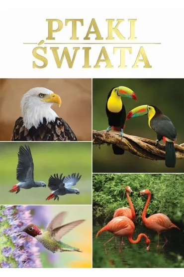 Ptaki �wiata