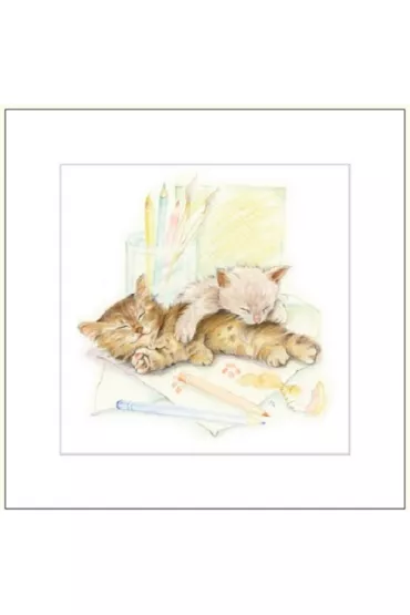 DaVinci Karnet G04 41G 053 + koperta Kot rysowany 16x16 cm