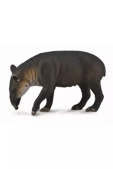 Tapir ciel� bairda