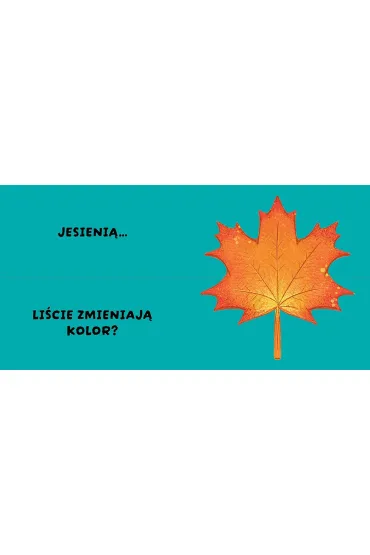 Czy to pasuje? Pory roku - Patrycja Klempas