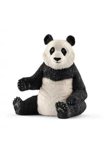 Panda Wielka samica
