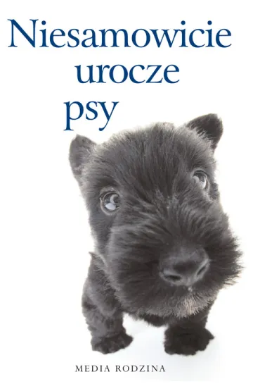 Niesamowicie urocze psy