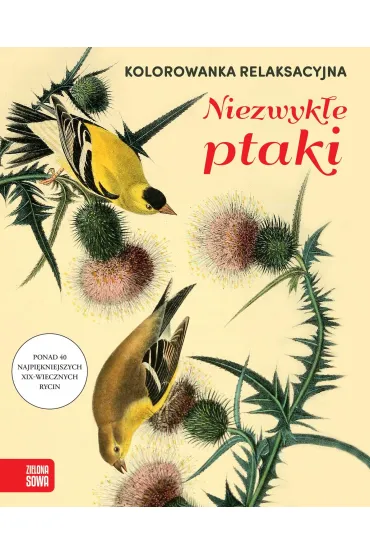 Kolorowanka relaksacyjna. Niezwyk�e ptaki