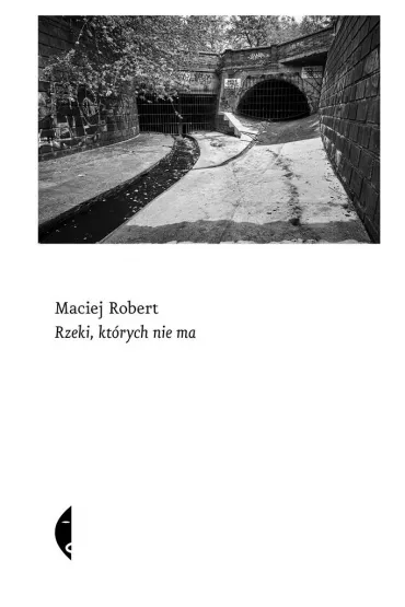 Rzeki, kt�rych nie ma - Maciej Robert