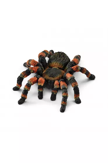 Tarantula