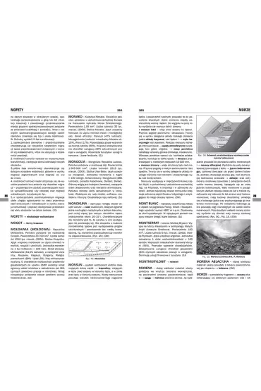 Encyklopedia szkolna - geografia - Agnieszka Nawrot