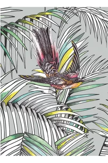 Museums & Galleries Karnet B6 z kopert� Sunbird