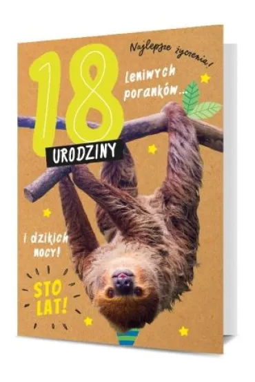 Pan Dragon Karnet B6 18-te urodziny leniwiec