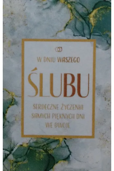 Art Nuvo Karnet �lub z�ocony, zielony (13x20,5cm) S-0403