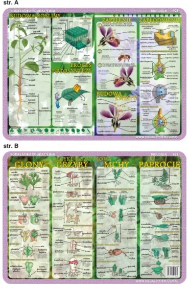 Visual System Podk�adka edukacyjna. Glony, grzyby, mchy