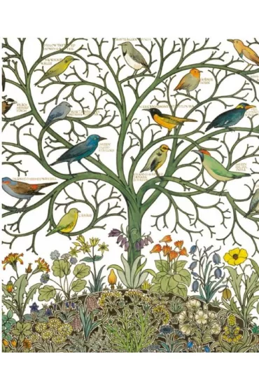 Museums & Galleries Karnet z kopert� Birds of Many Climes 17x14 cm