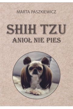 Shih tzu - anio nie pies