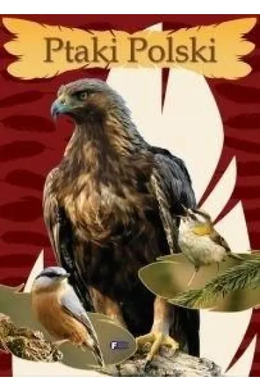 Ptaki Polski