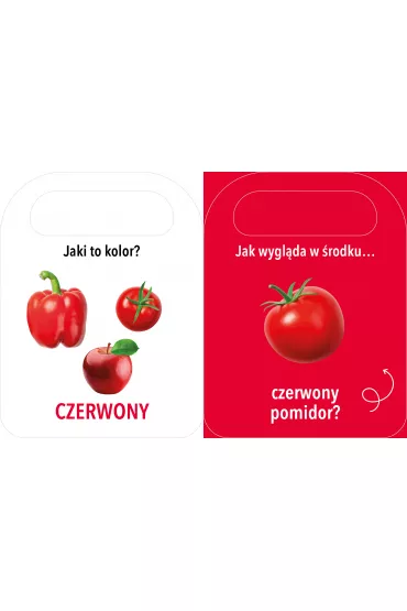 Otwrz i zobacz! Kolory - Patrycja Klempas