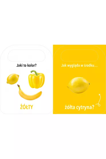 Otwrz i zobacz! Kolory - Patrycja Klempas