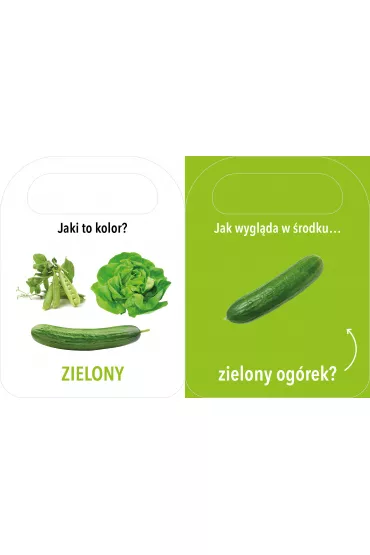 Otwrz i zobacz! Kolory - Patrycja Klempas
